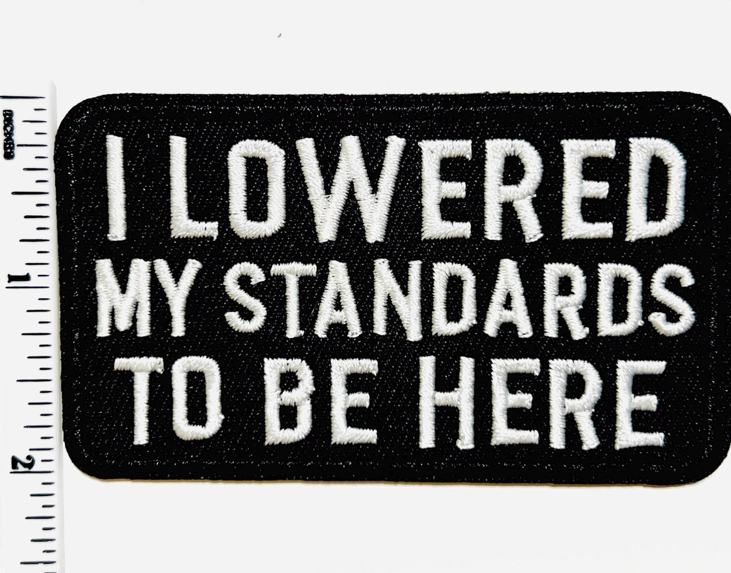 Funny Embroidered Patch – I Lowered My Standards, Iron On Applique